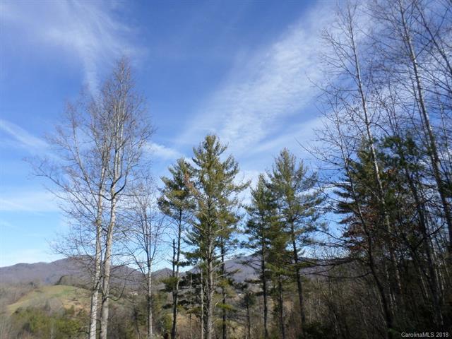5 Treeline Trail - Photo 1