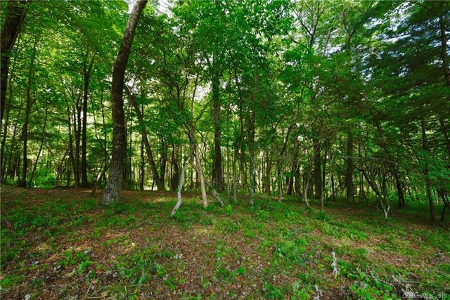 27 Deep Creek Trail - Photo 1