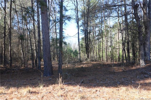 39 Charlotte Highway - Photo 1