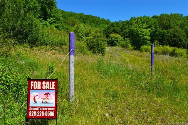930 Long Branch Road - Photo 1