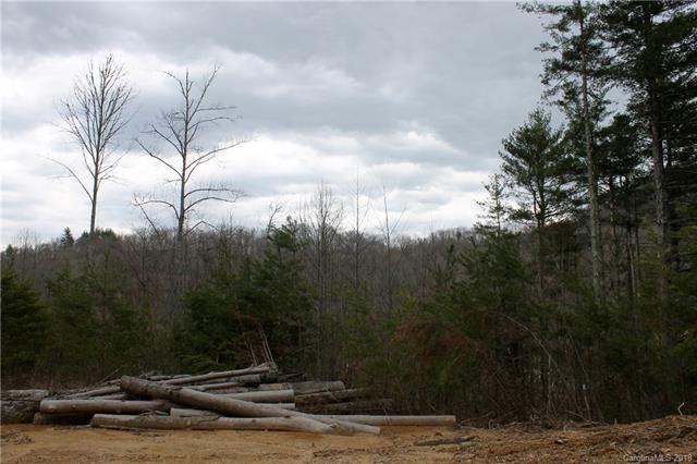 TBD Middle Fork Road - Photo 1