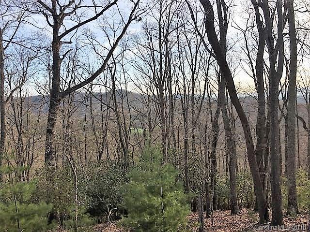472 Mills River Way - Photo 1