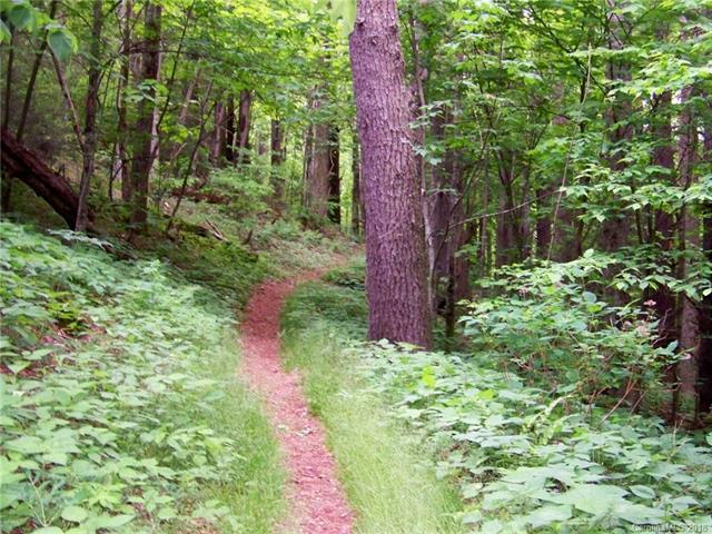 0 Cove Creek Road - Photo 1