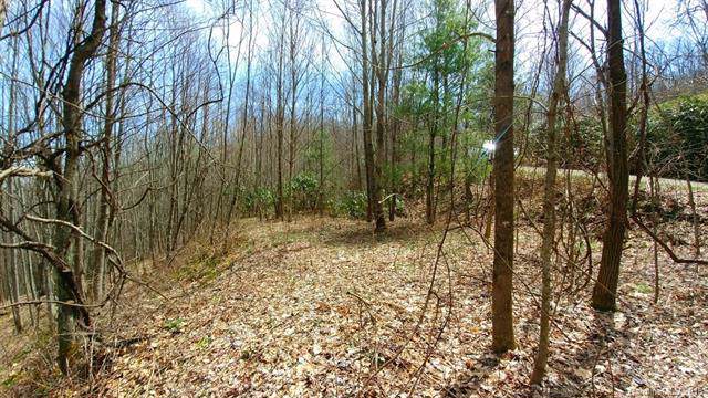 4 Adcock Mountain Road - Photo 1