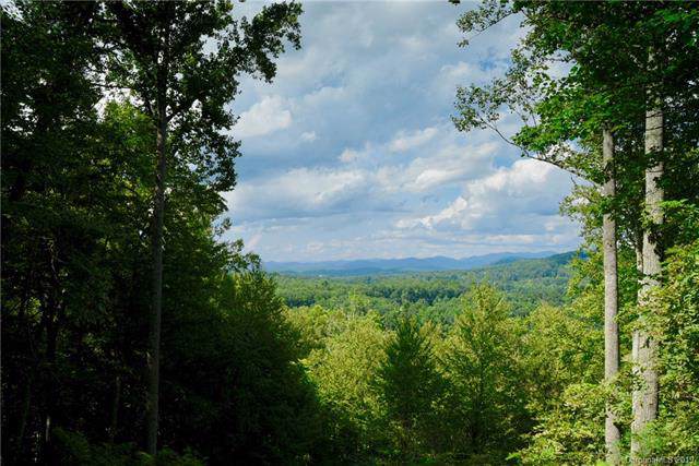 4 Ridge Pine Trail - Photo 1
