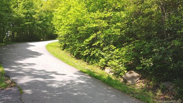 32 Falcon Crest Loop - Photo 1