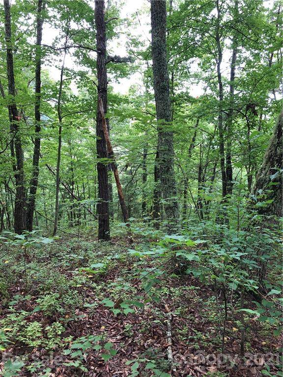 TBD Wooten Cove Road - Photo 1