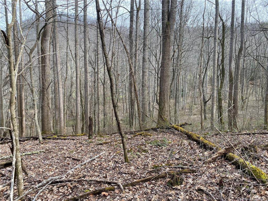 TBD Nc 63 Highway - Photo 1