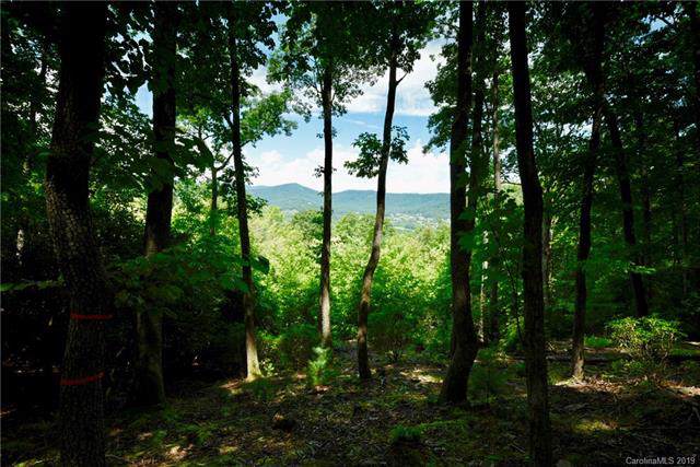 293 Secluded Hills Lane - Photo 1