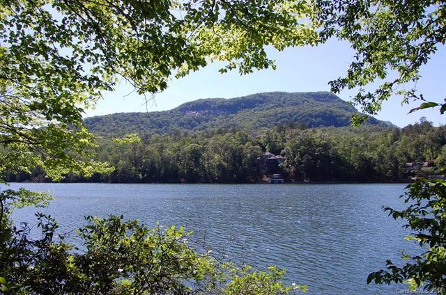 Lot 21 Buffalo Shoals Road - Photo 1