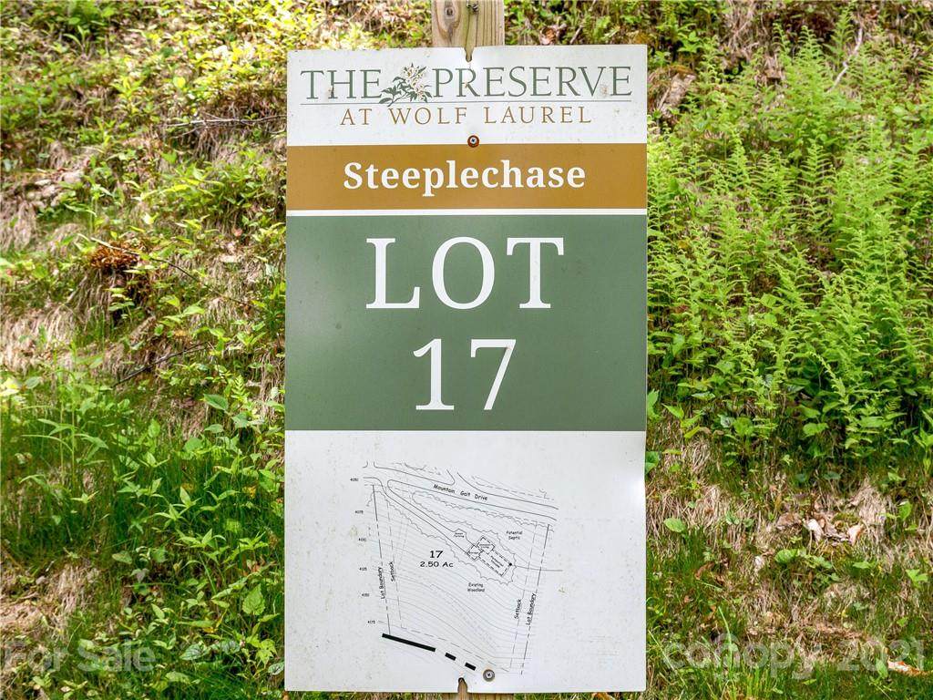 Lot 17 Mountain Gait Drive - Photo 1