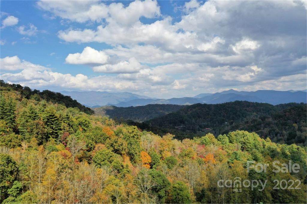 VL25 Mountain Forest Road - Photo 1