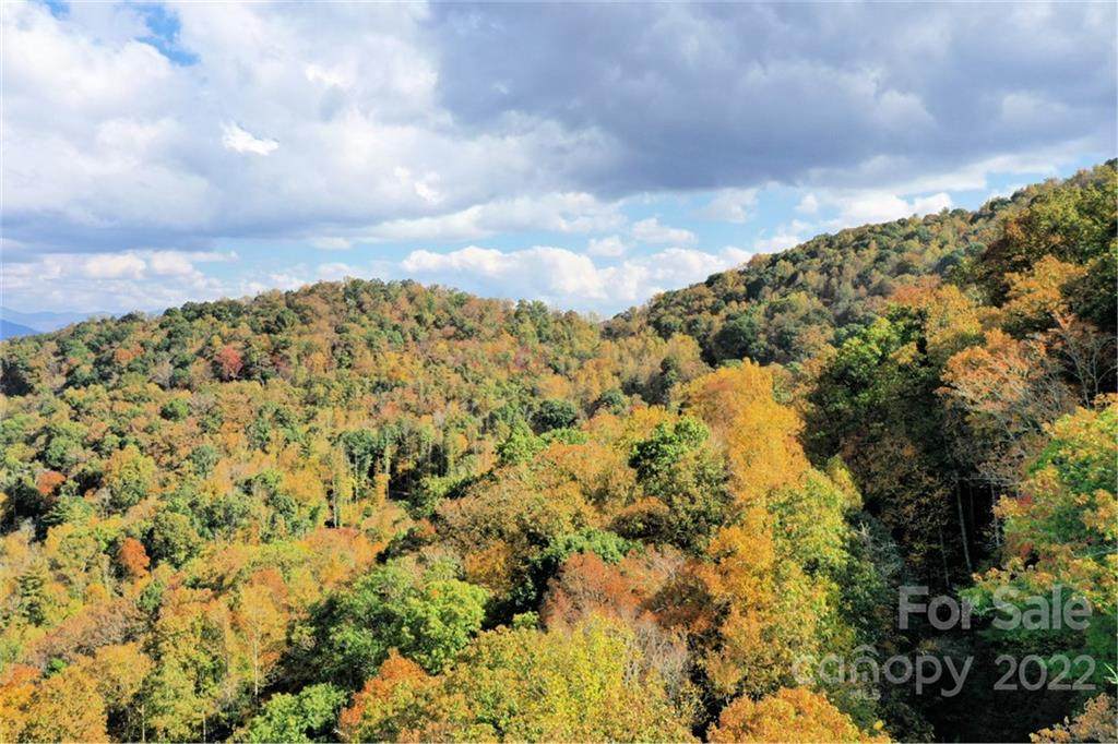 VL313 Mountain Forest Estates - Photo 1
