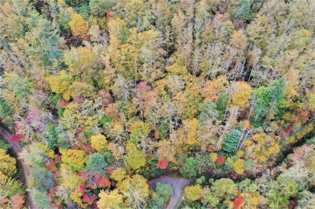 VL74 Mountain Forest Estates - Photo 1