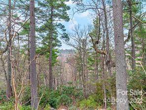 321 Silent Rise Lane - Photo 1