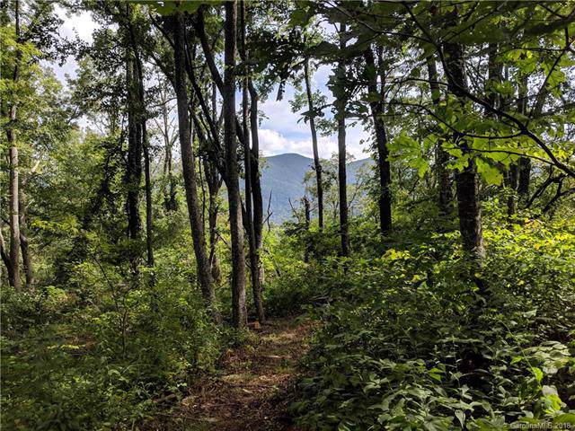 13+ Acres Elk Mountain Scenic Highway - Photo 1