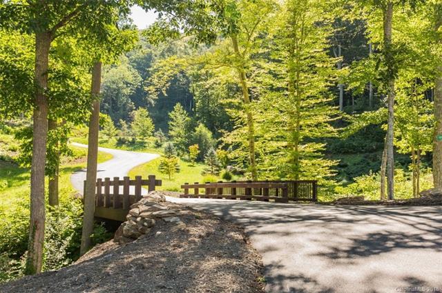 19 Twinflower Trail - Photo 1