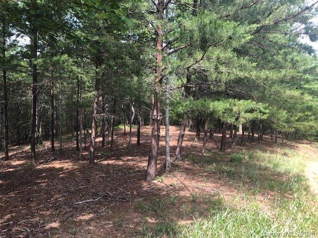 Lot 67 Lake Adger Parkway - Photo 1