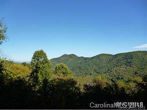 229 Bearwallow Road - Photo 1
