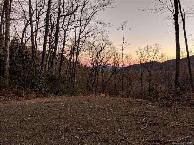 20.3+ Acres on Rocky Knob Road - Photo 1