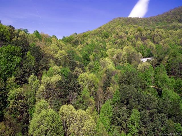 0 Roberts Mountain Road - Photo 1