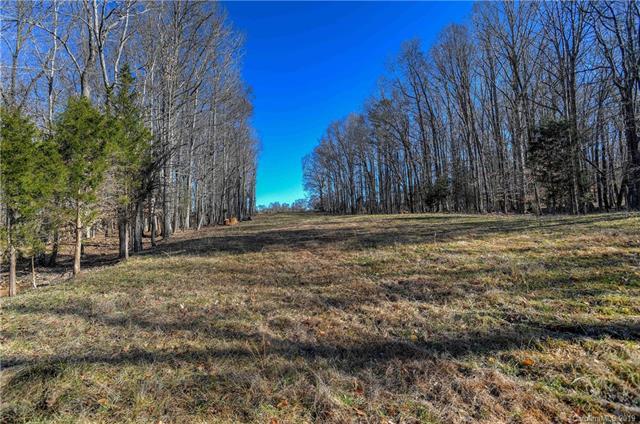 00 Asbury Chapel Road - Photo 1