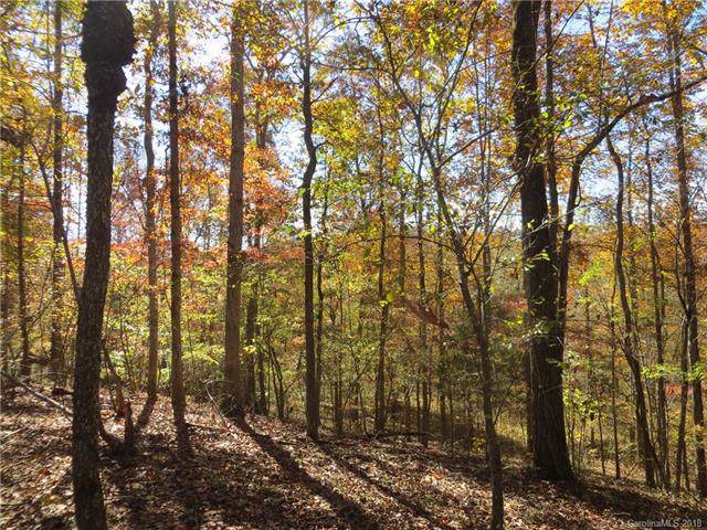 0 River Crest Parkway - Photo 1