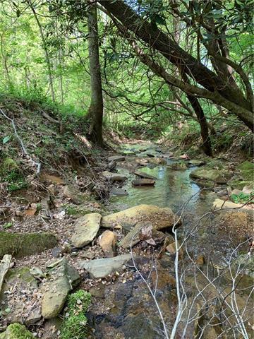 0 Brinegar Hill Road - Photo 1