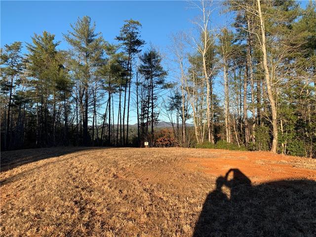 Lot 304, 1198 Winding Creek Way - Photo 1