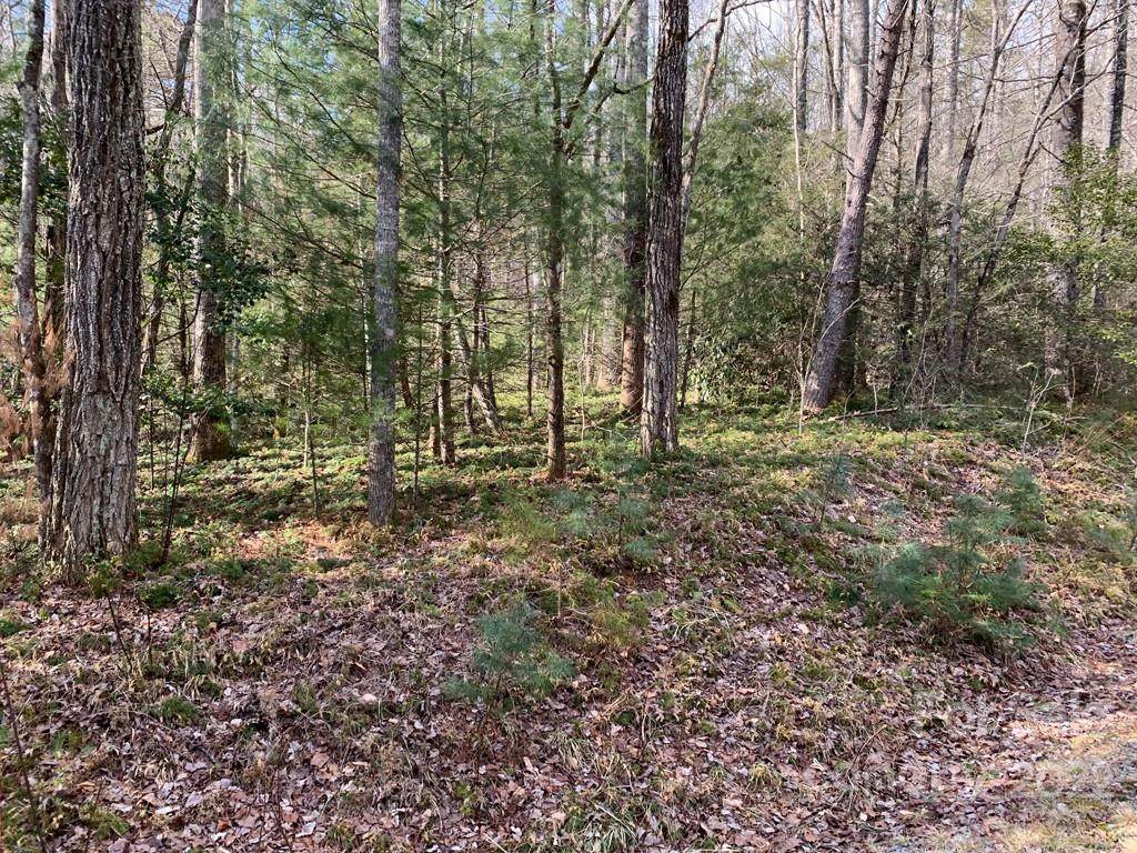 126 Green Hollow Lane - Photo 1