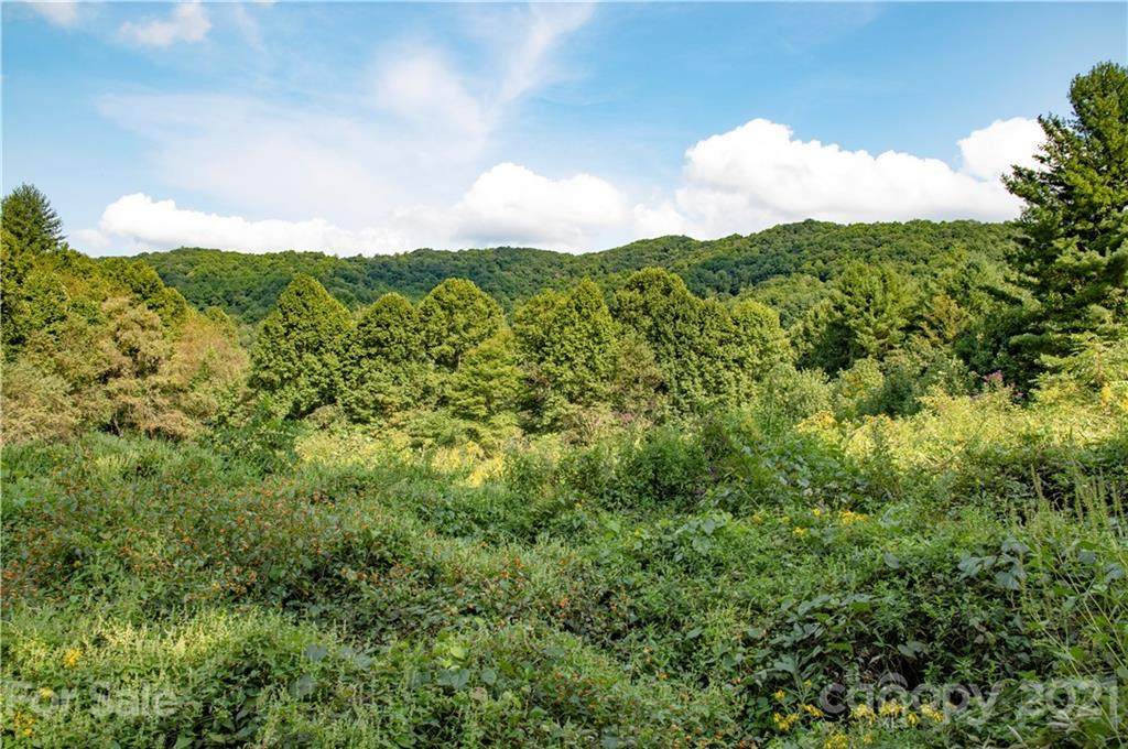 6200 Meadow Fork Road - Photo 1