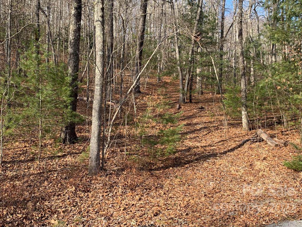 124 Green Hollow Lane - Photo 1