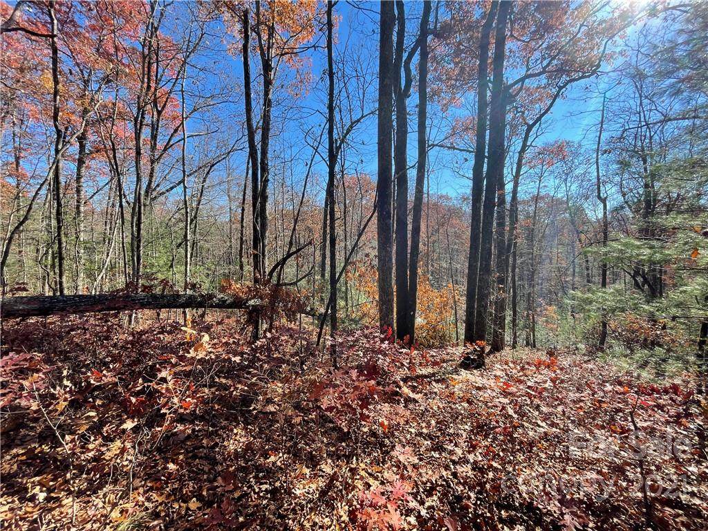 116 Green Hollow Lane - Photo 1