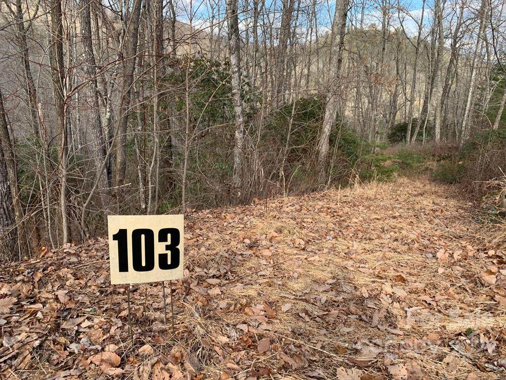 103 Laurel Thicket Lane - Photo 1