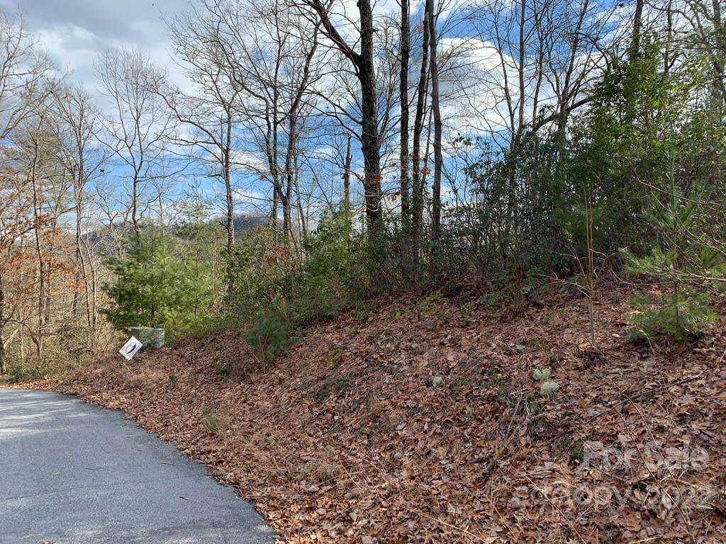 91 Laurel Thicket Lane - Photo 1