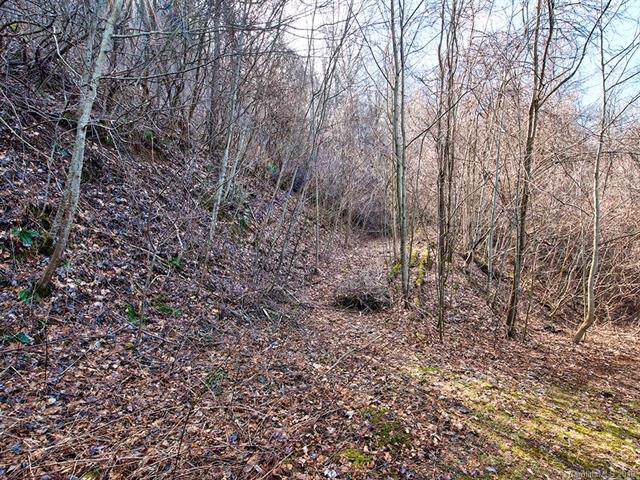 9872 Lewis Lane - Photo 1