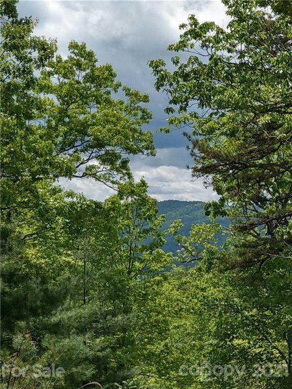000 Dogwood Lane - Photo 1