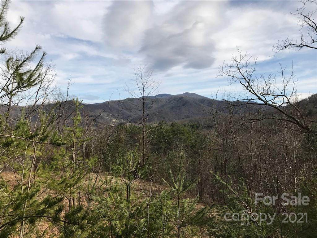 0000 Spring Cove Road - Photo 1
