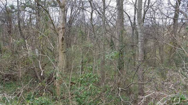 504 Old Charlotte Highway - Photo 1