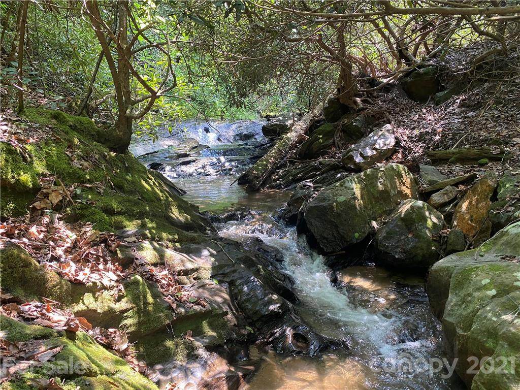 3619 Lonesome Mountain Road - Photo 1