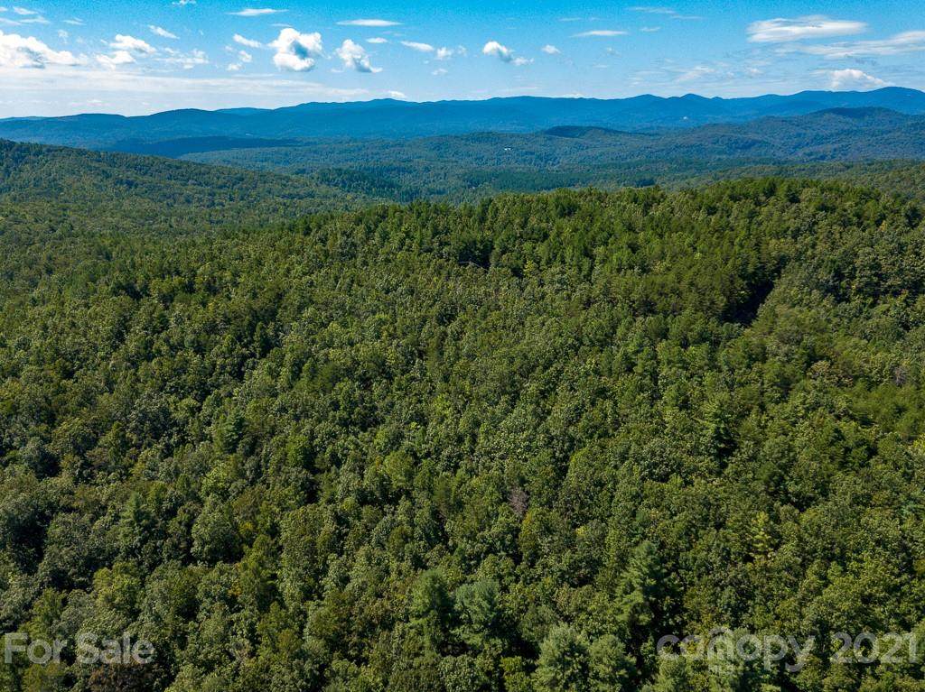4027 Skyline Drive - Photo 1