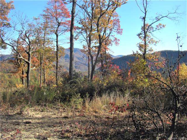 0000 Old Place Bluff Drive - Photo 1