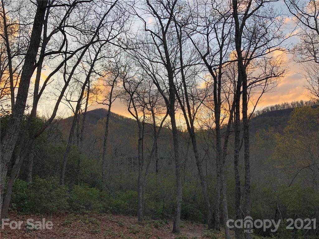 423 Walnut Valley Parkway - Photo 1