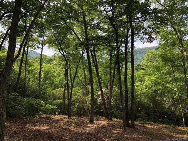 423 Walnut Valley Parkway - Photo 1