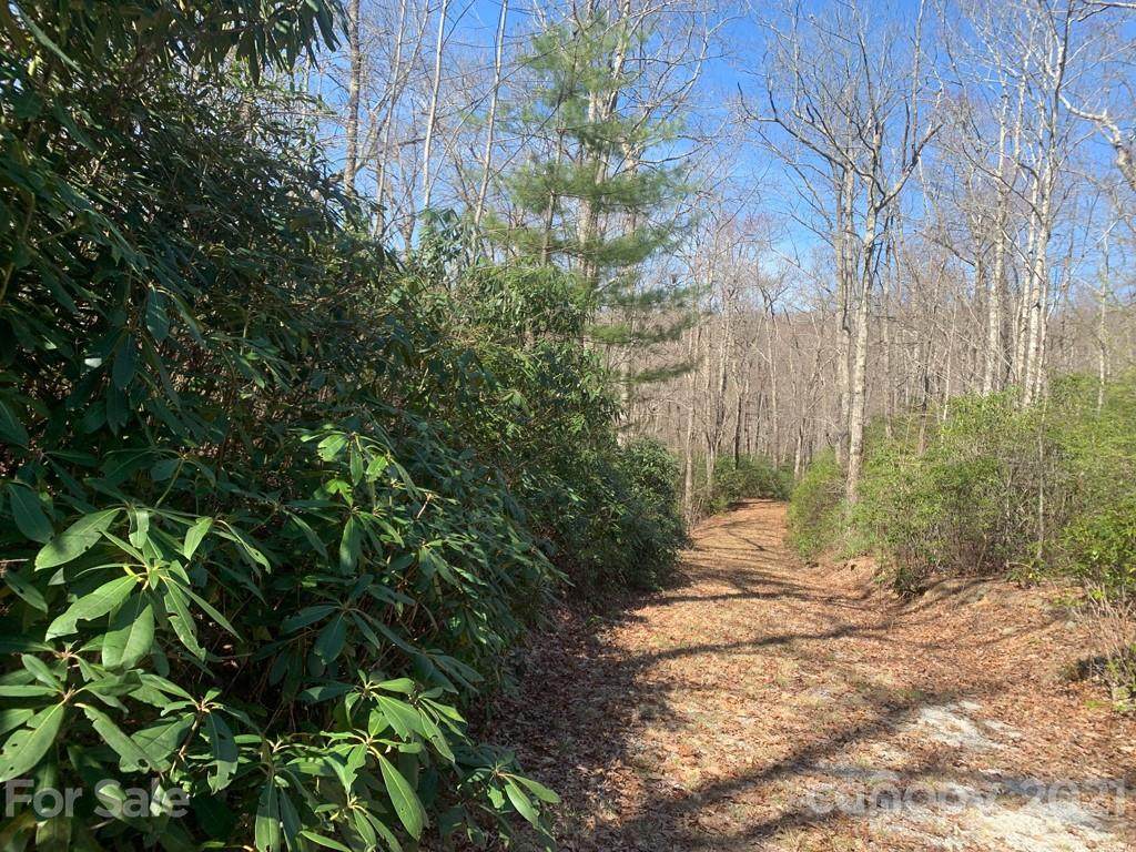TBD Hummingbird Hollow - Photo 1