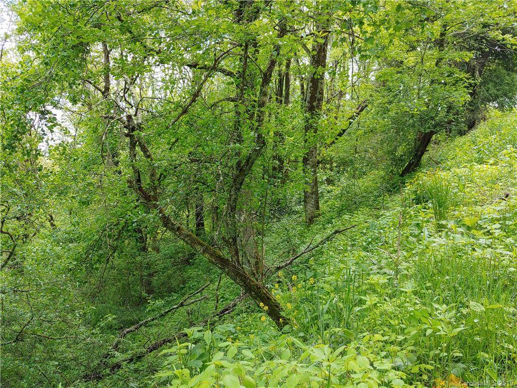 Lot 29 Ridge Top Circle Road - Photo 1 Lot 29 Ridge Top Circle Road - Photo 1
