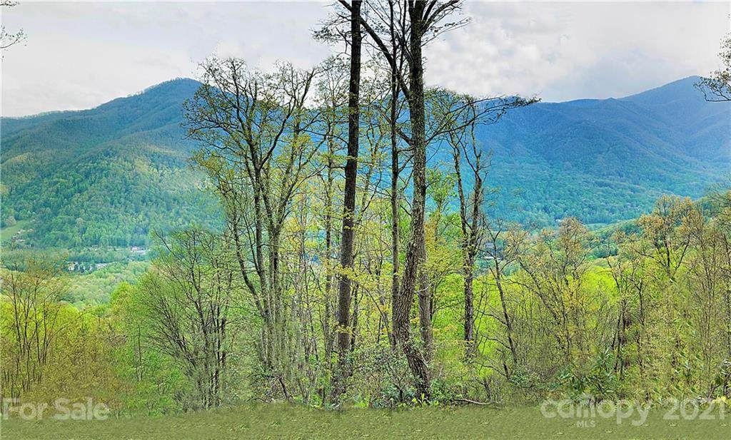 Lot 1 Big Boulder Ridge - Photo 1