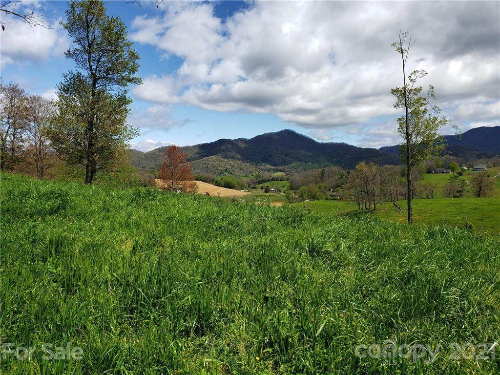 0 Frank Davis Road - Photo 1