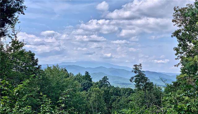 Lot 854 White Oak Lane - Photo 1