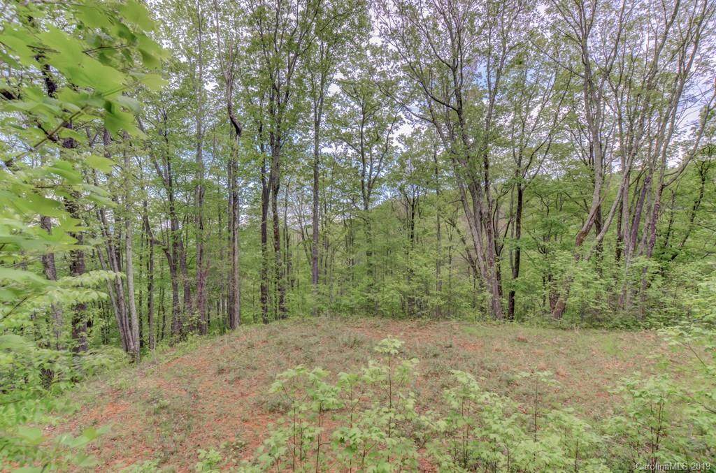 0 Running Bear Lane - Photo 1